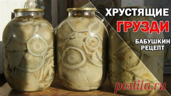 Как солить грузди, чтобы они были хрустящими. Грузди соленые горячим способом