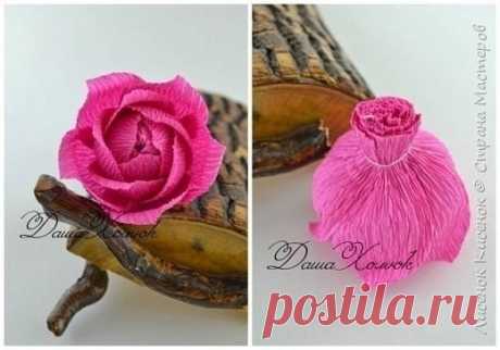 Сладкая роза из гофрированной бумаги