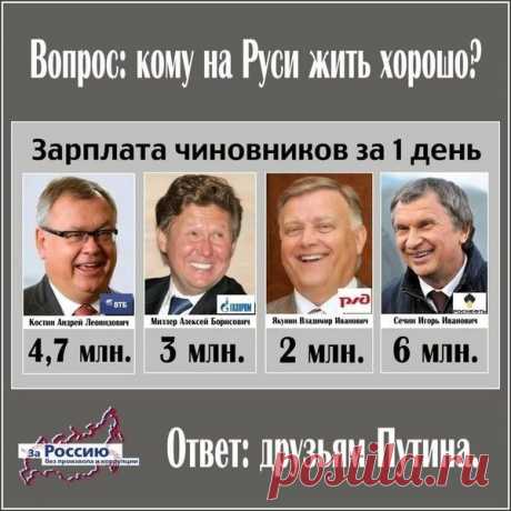 «Шакалят» у шкалы - Один за всех и все за одного-5! - Группы Мой Мир