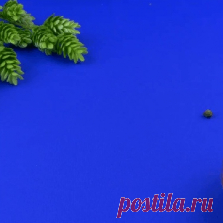 Стена