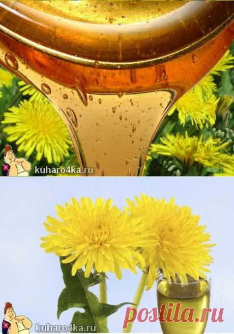 Мёд и ликёр из одуванчика