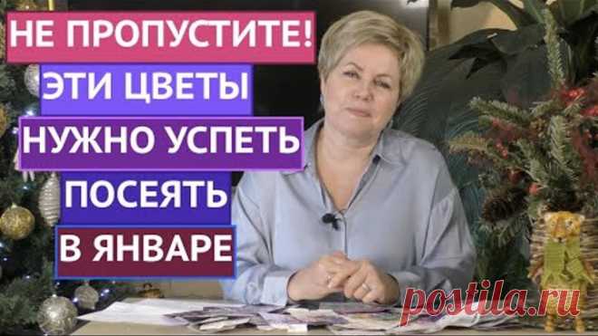 ВНИМАНИЕ! КАКИЕ ЦВЕТЫ ПОСЕЯТЬ В ЯНВАРЕ 2022!