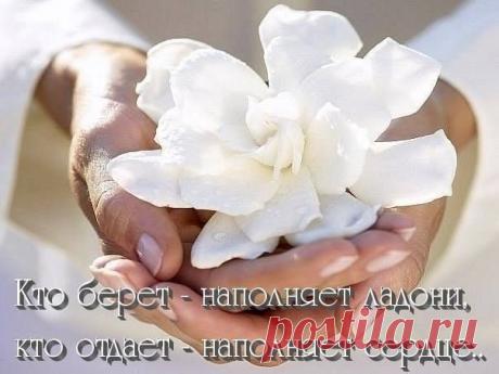 Если вы одарённый человек, это не значит, что вы что-то получили. Это значит, что вы можете что-то отдать.
Карл Густав Юнг