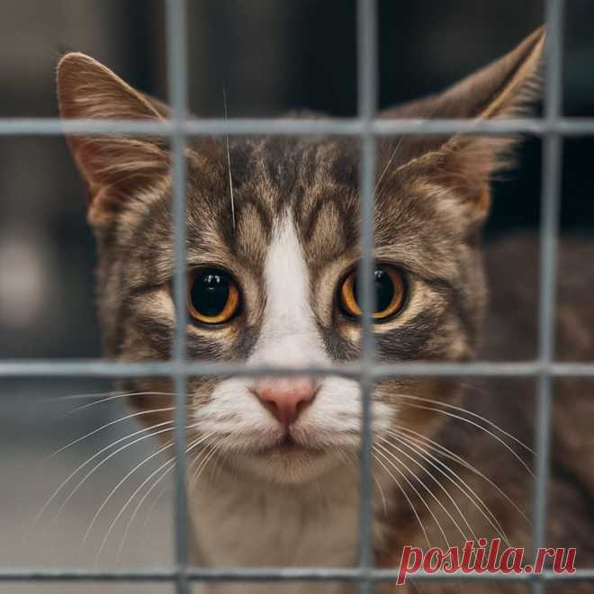 Доверие Замы - OGADANIE.RU