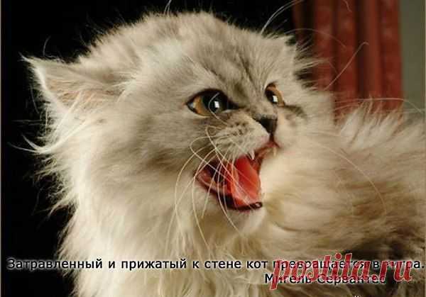 Интересные новости