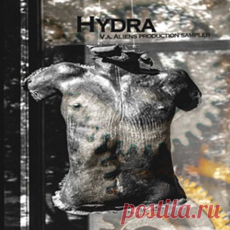 V.A. - Hydra (2025) 320kbps / FLAC