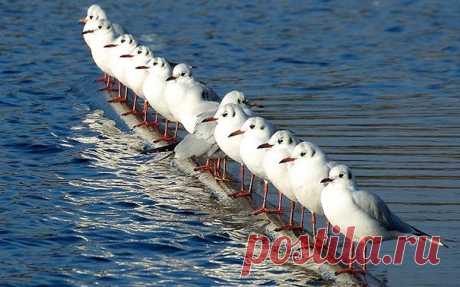 Им нравится нарушать правила