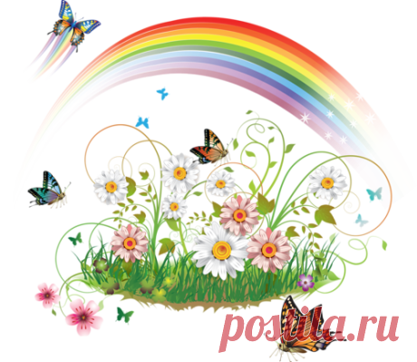 Фотосток: рисованные ромашки PNG JPG