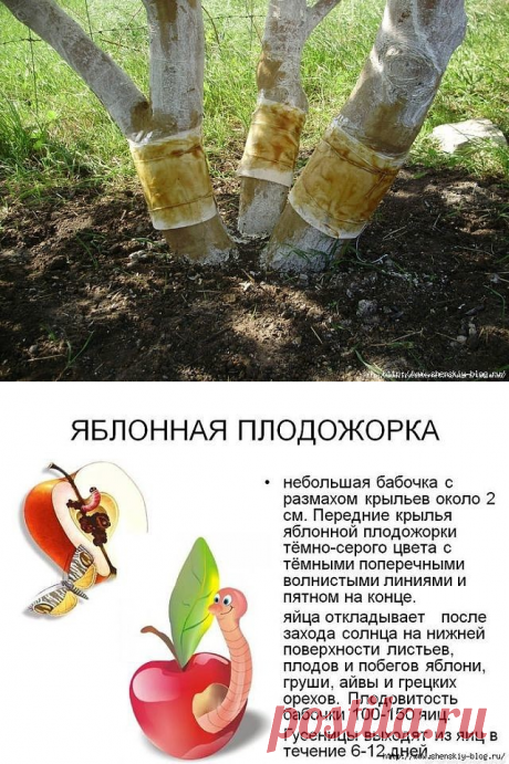 Одноклассники