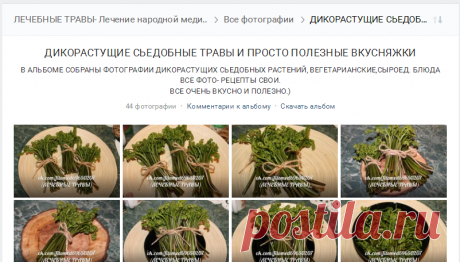 ДИКОРАСТУЩИЕ СЬЕДОБНЫЕ ТРАВЫ И ПРОСТО ПОЛЕЗНЫЕ ВКУСНЯЖКИ – 44 фотографии