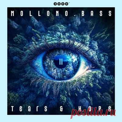 Mollono.Bass, Andy's Echo - Tears & Hope - Part 2