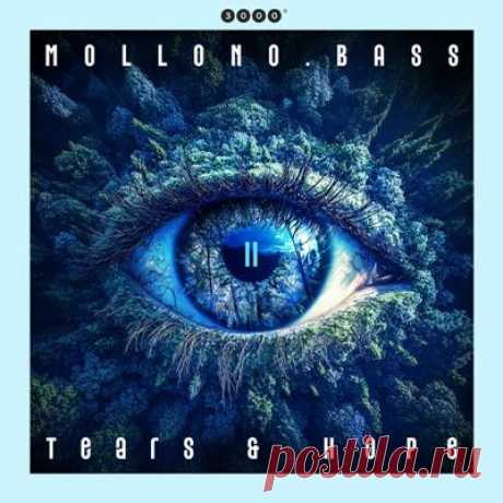 Mollono.Bass, Andy's Echo - Tears &amp; Hope - Part 2