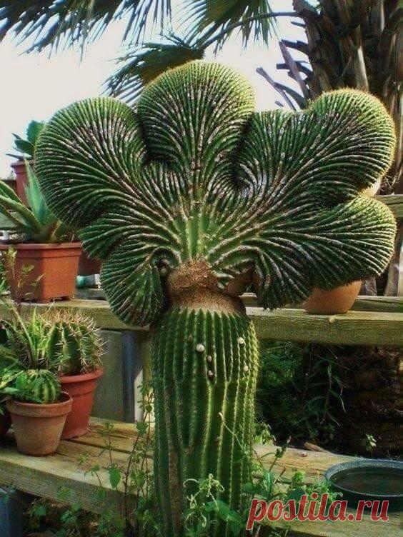 Удивительно красиво!