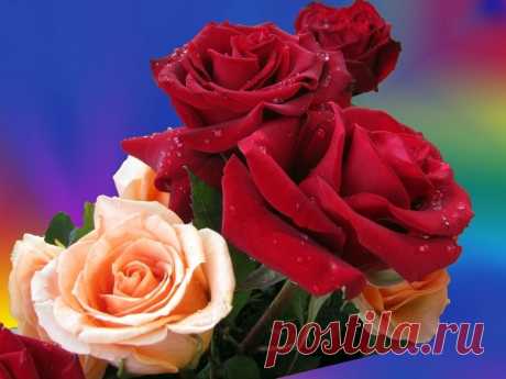 из инета