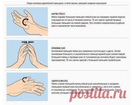 Орехи.ТВ - Категория «Идеи для жизни (life hacks)»