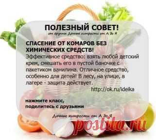 Очень РЕДКО встречаешь такие СОВЕТЫ.