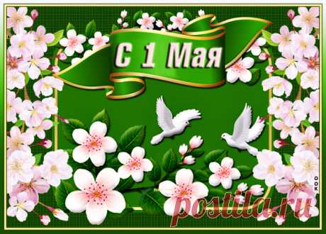 Картинка Все на маевку, с днем мира, труда и весны