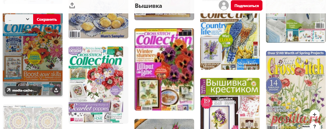 (1855) Pinterest