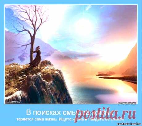 Притчи о смысле жизни | Как научиться жить без проблем?