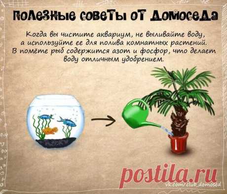 Хозяйке на заметку-3 (24 фото) - ЛоЛс.ру - Позитивный такой смешарик! :-))