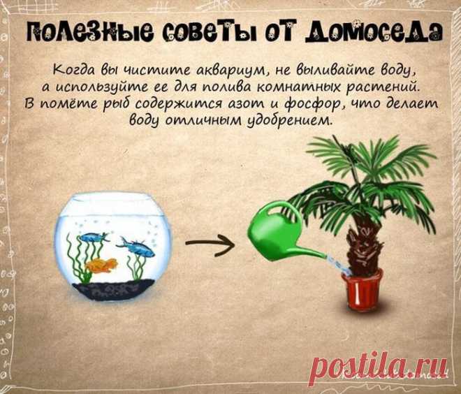 Хозяйке на заметку-3 (24 фото) - ЛоЛс.ру - Позитивный такой смешарик! :-))