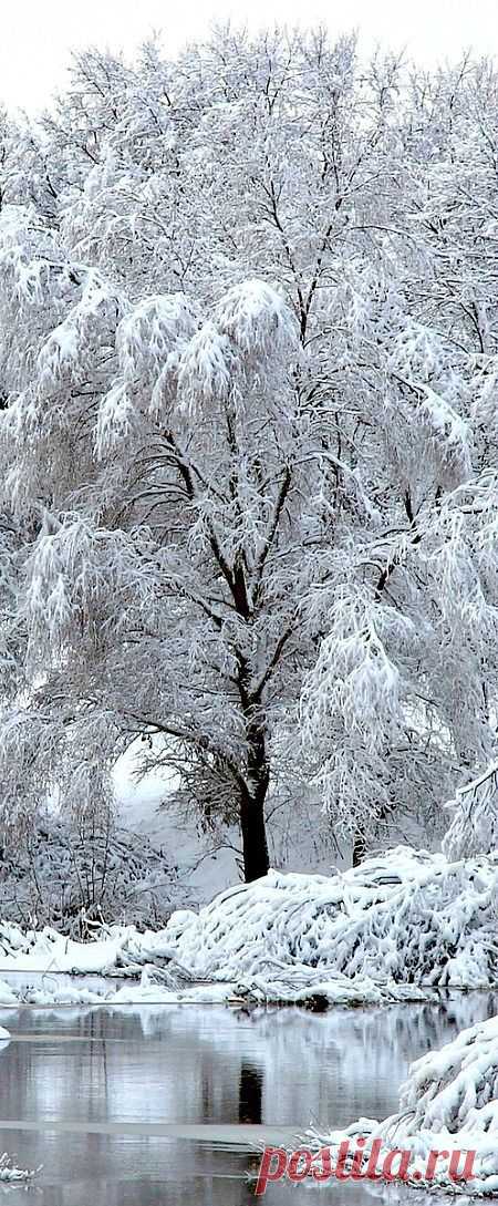 Найдено на сайте 4seasonworld.blogspot.in.