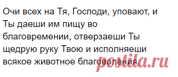 Трапезная молитва. Как правильно помолиться и поблагодарить Бога за божию пищу и его дары. Короткая сильная молитва | Кошкин | Яндекс Дзен
