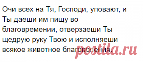 Трапезная молитва. Как правильно помолиться и поблагодарить Бога за божию пищу и его дары. Короткая сильная молитва | Кошкин | Яндекс Дзен