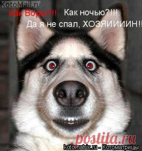 Пупсик | KotoMail.ru