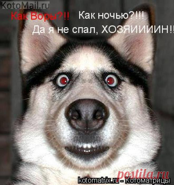 Пупсик | KotoMail.ru