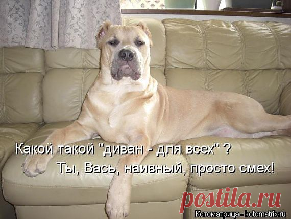 всё моё.....