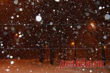 A snowy night with a lot of snow and lights in a city park at winter night. Парк имени 50-летия Октября в Москве зимней ночью. Стоковое фото, фотограф Ilaronsia / Фотобанк Лори