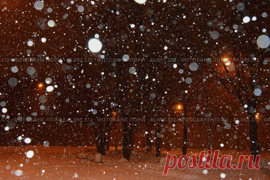 A snowy night with a lot of snow and lights in a city park at winter night. Парк имени 50-летия Октября в Москве зимней ночью. Стоковое фото, фотограф Ilaronsia / Фотобанк Лори
