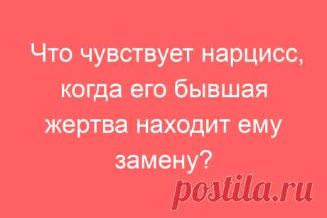Что чувствует нарцисс, когда его бывшая жертва находит ему замену?