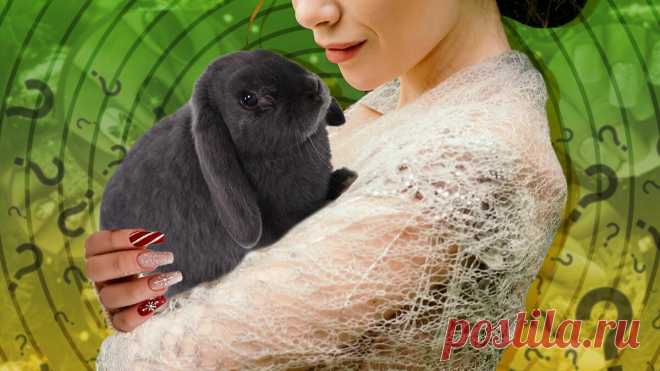 Маникюр на Новый год — 2023: модные тенденции в год Черного Кролика | Слово и дело | Дзен