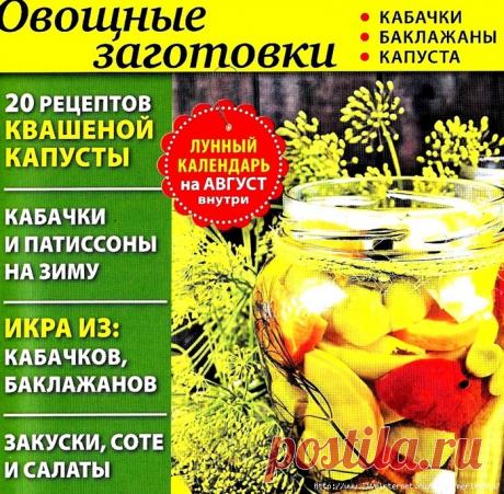 Дачный спец /7 2019/