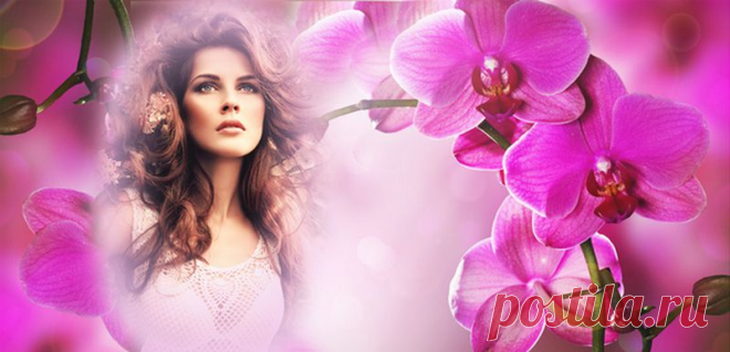 0_9903b_327a29b3_orig (800×387)