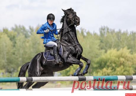 Фото: Конкур. Фотограф Сан Саныч. Спорт - Фотосайт Расфокус.ру