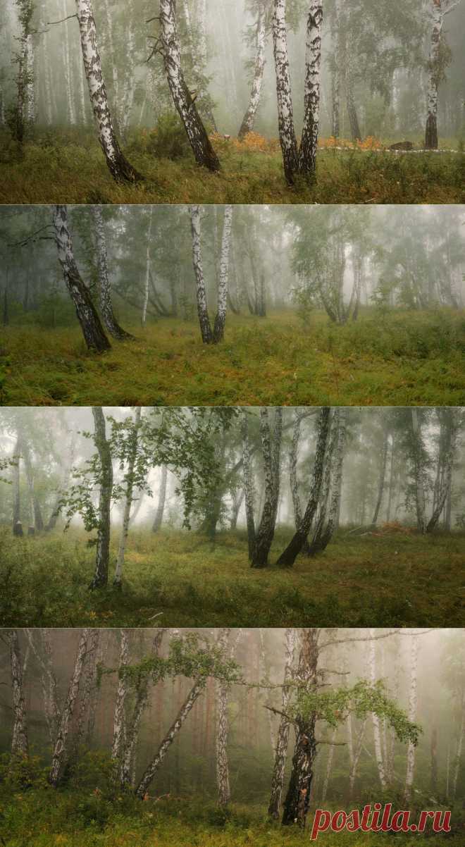 35PHOTO - marateaman - Туманные хроники августа