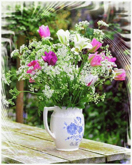 Gifs de flores y plantas: Gifs de rosas
