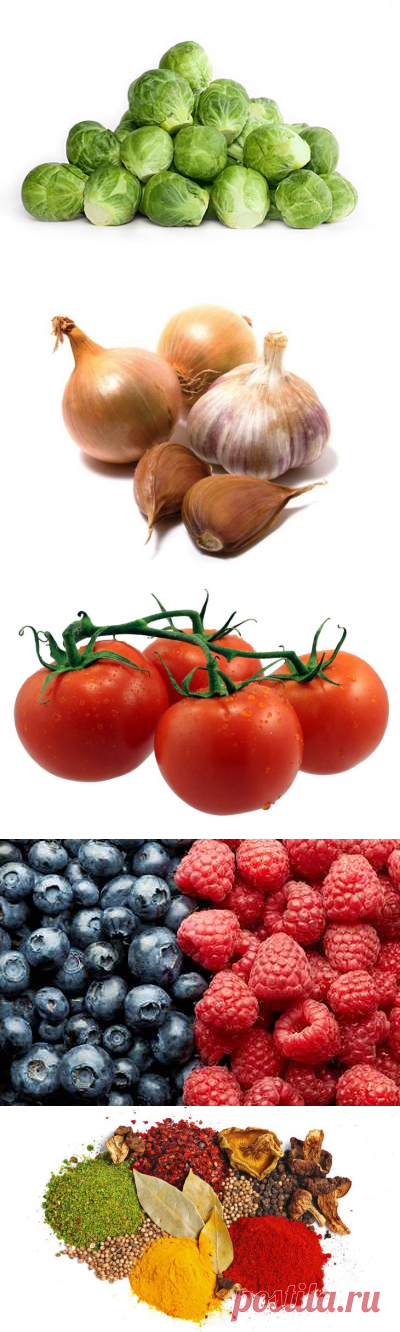 10 продуктов, которые спасут от рака | Golbis