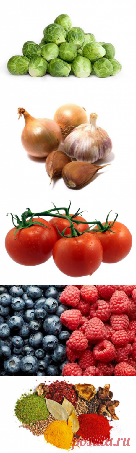 10 продуктов, которые спасут от рака | Golbis