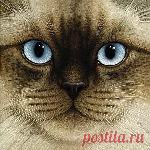 Леди-Фея - Уютный дом и сад. Рукоделие. Вязание.