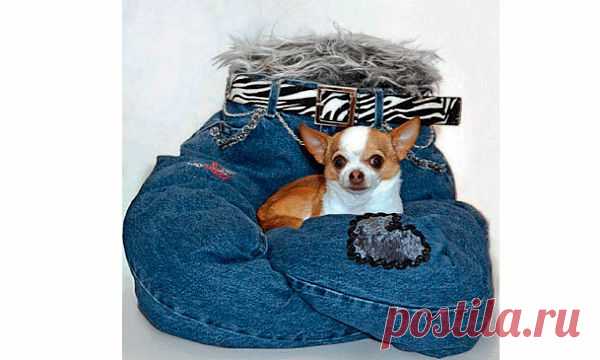 Джинсы любят все!