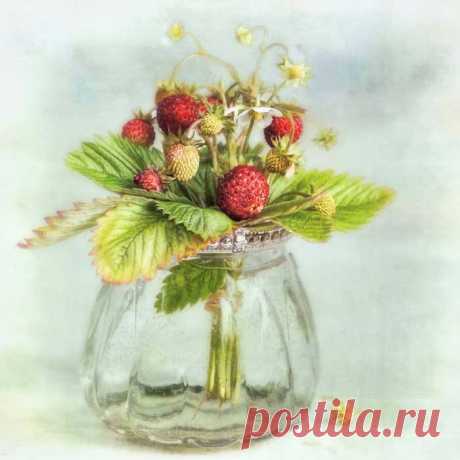 Картинки для декупажа_Lizzy Pe 5