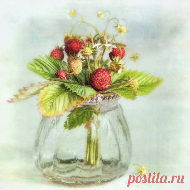 Картинки для декупажа_Lizzy Pe 5