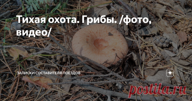 Тихая охота. Грибы. /фото, видео/ Доброго всем!
Сегодня выходной, особых дел запланировано не было, поэтому мы решили съездить за грибами. Единственное, что смущало, дождя небыло уже три дня и в лесу подсохло.
В этом году грибы есть везде, во всех грибных местах, поэтому особо куда ехать мы не выбирали. Одно из ближайших грибных мест называется Уточкина падь, туда мы и поехали.
Но, Толи звезды легли не так или еще чего, но нужный