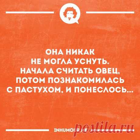Surfingbird знает всё, что ты любишь