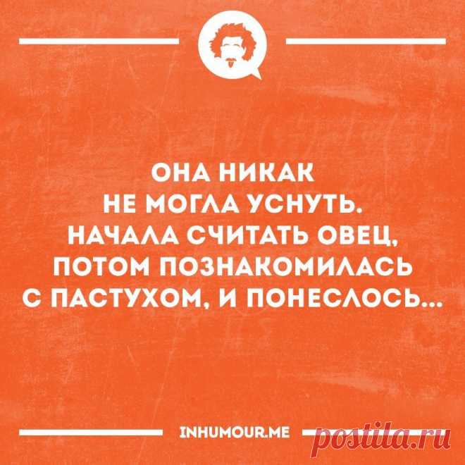 Surfingbird знает всё, что ты любишь