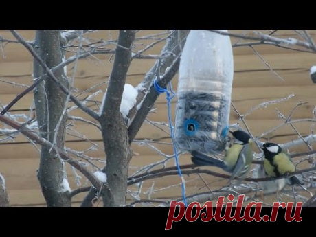 ★ Как сделать КОРМУШКУ только для СИНИЦ.Кормушка для птиц #своимируками из бутылки.Домик для синиц.